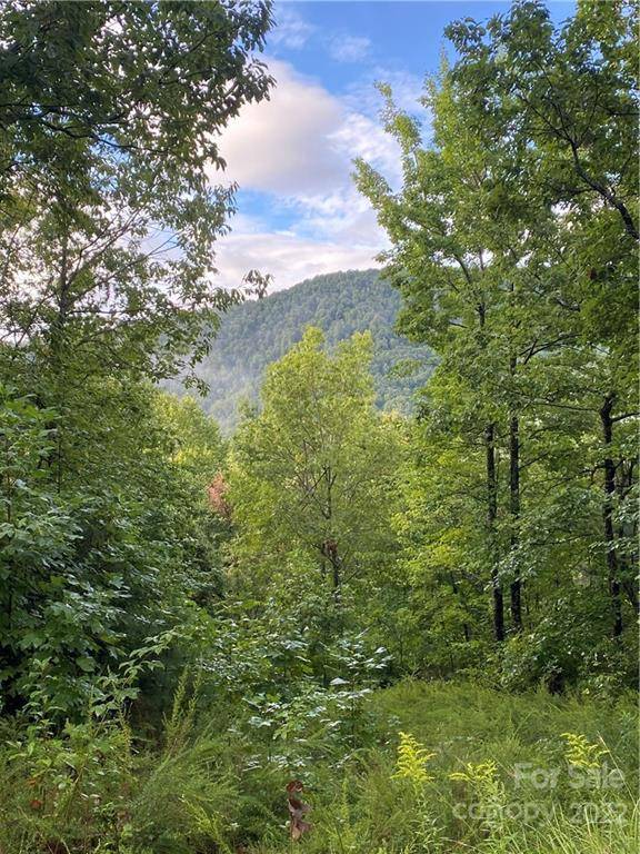 Black Mountain, NC 28711,33 Nuthatch LN #T-84