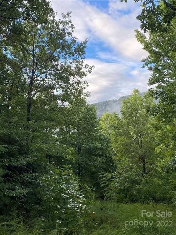 Black Mountain, NC 28711,33 Nuthatch LN #T-84