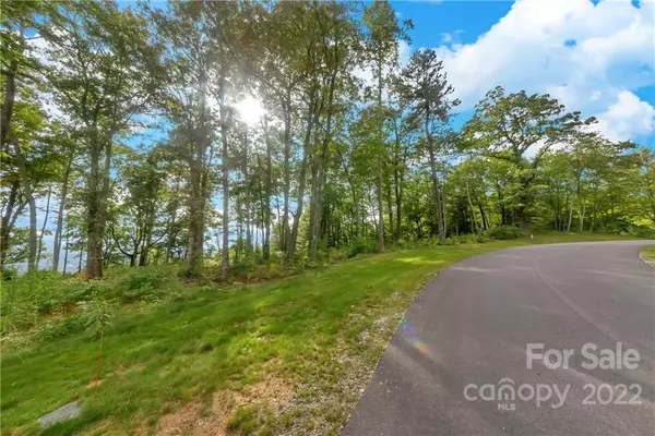 Fletcher, NC 28732,LOT 46 Mountain Grove LN