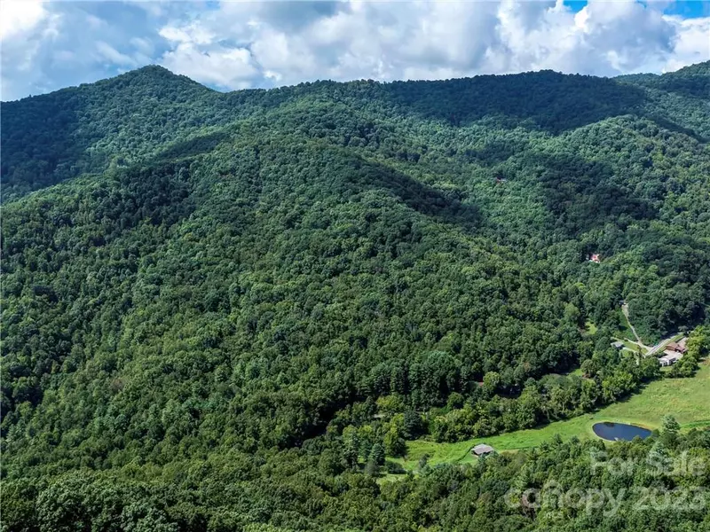 99999 Moody Cove RD, Weaverville, NC 28787