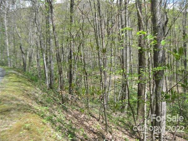 Black Mountain, NC 28711,23 Wood Haven LN #113