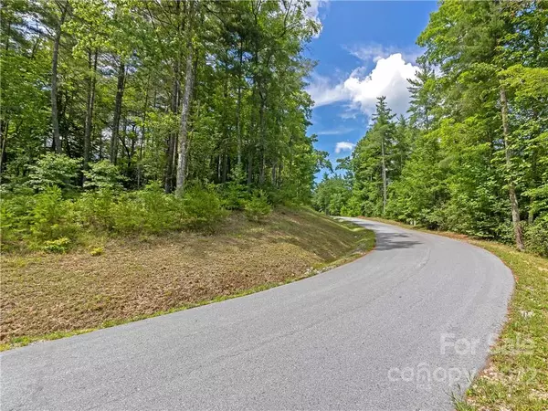 Rosman, NC 28772,Lot 38 Abby Falls DR