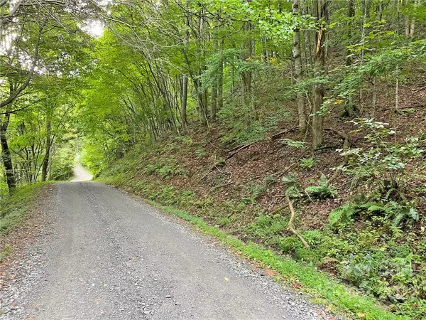 Hot Springs, NC 28743,TBD Staghorn DR #33