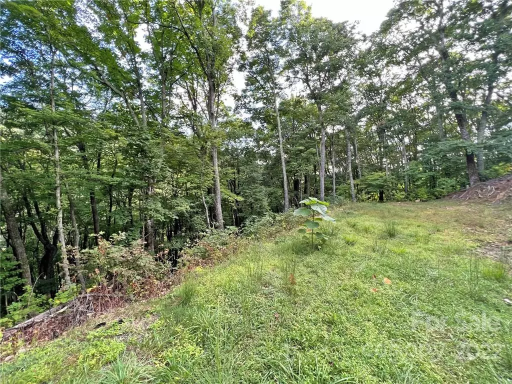 Hot Springs, NC 28743,TBD Staghorn DR #33