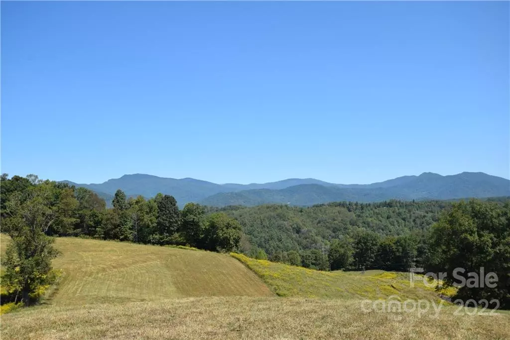 Green Mountain, NC 28740,00 Cow Branch BR