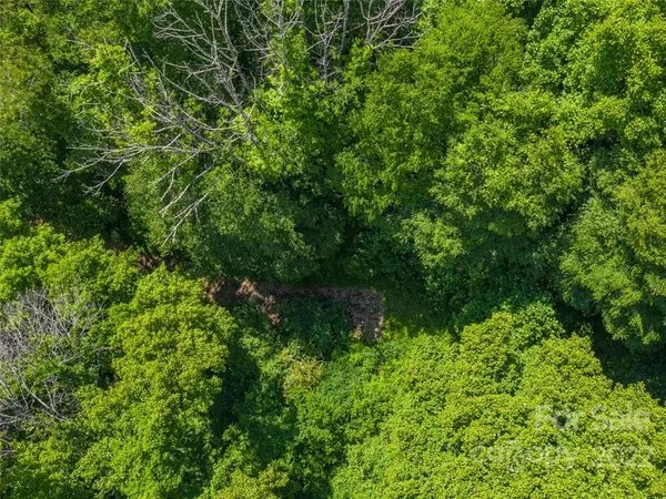 Mars Hill, NC 28754,00 Running Deer LN #66 & 67