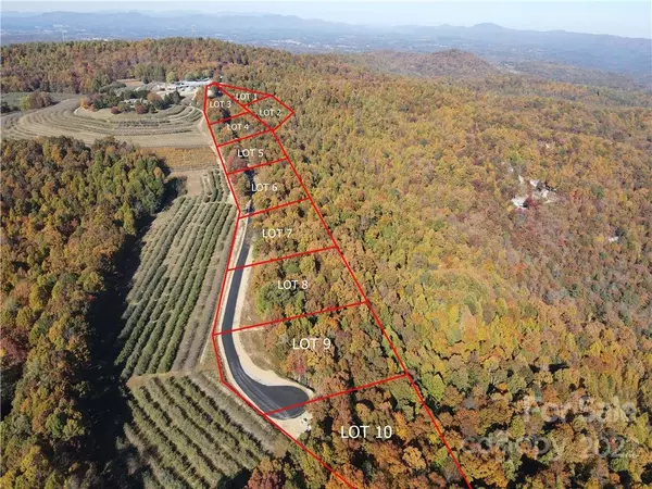 Flat Rock, NC 28731,0000 Preservation View LN #9