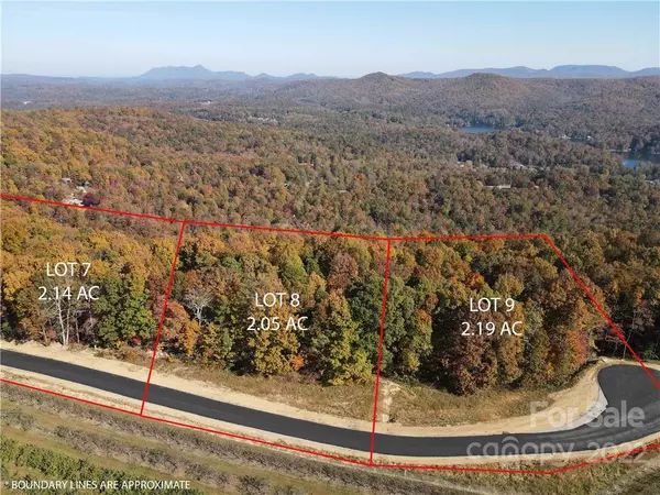 Flat Rock, NC 28731,0000 Preservation View LN #9