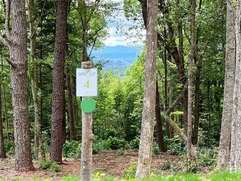 Hendersonville, NC 28792,0000 New Sprout LN #Lot 4