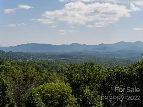 Candler, NC 28715,114 Wilderness TRL