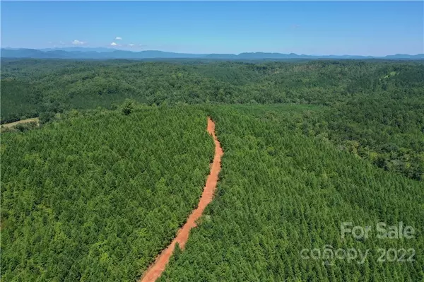 Rutherfordton, NC 28139,000 Abrams & Moore RD