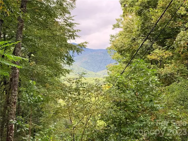 Burnsville, NC 28714,000 Big Ridge RD #114