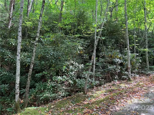 Burnsville, NC 28714,000 Big Ridge RD #114
