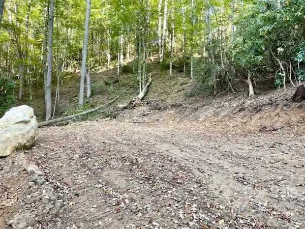 Mars Hill, NC 28754,000 Sandman WAY