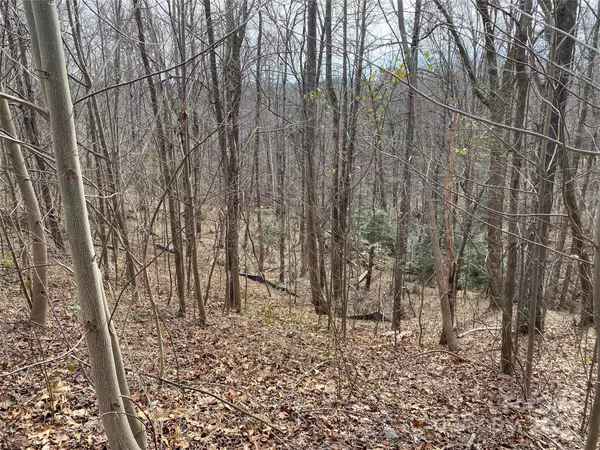 Lake Lure, NC 28746,46 Holmstead DR #46