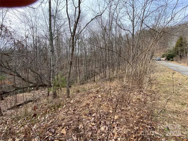 Lake Lure, NC 28746,46 Holmstead DR #46