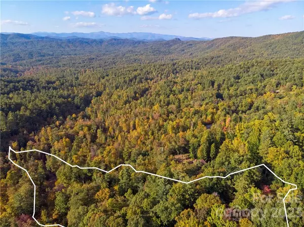 Rosman, NC 28772,Lot 93 Peppervine CIR
