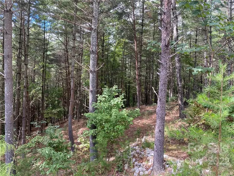 Lot 86 Crest View DR #86, Nebo, NC 28761