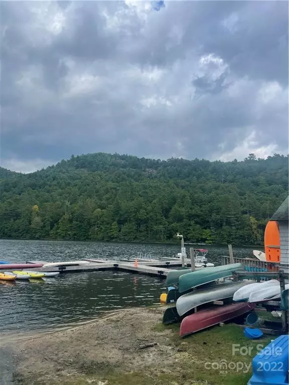 Sapphire, NC 28774,115 Dogwood Knob LN