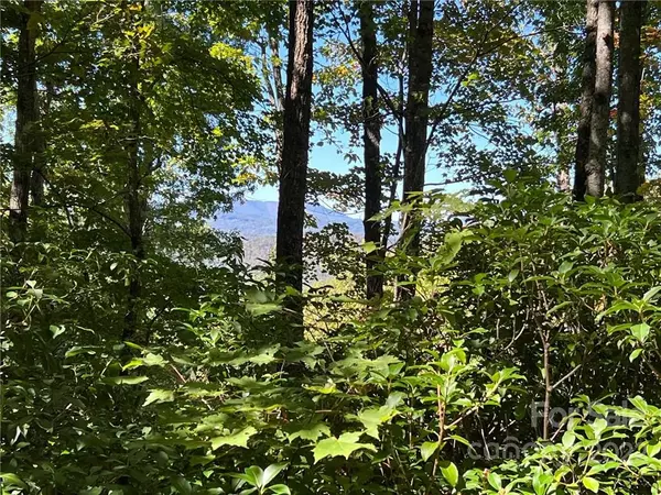 Rosman, NC 28772,TBD Oakridge RD #16