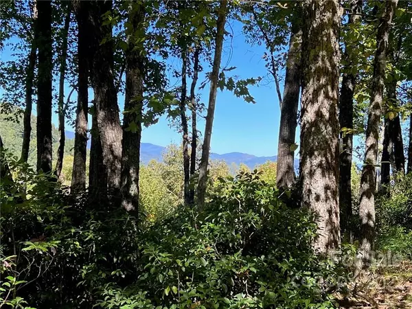 Rosman, NC 28772,TBD Oakridge RD #16