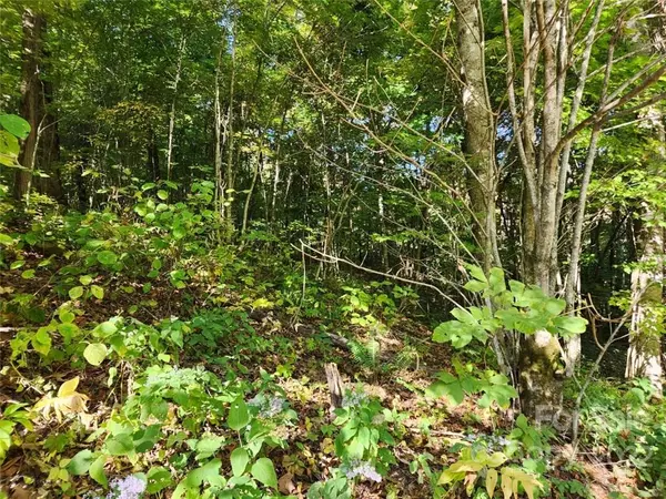 Waynesville, NC 28786,00 Staymon RD #229