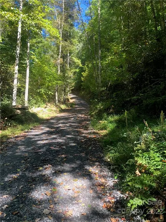 Green Mountain, NC 28740,000 Grassy Gap RD