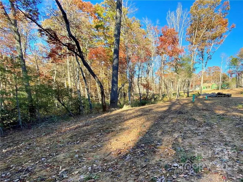 Lot 9 Ted Linn DR, Fairview, NC 28730