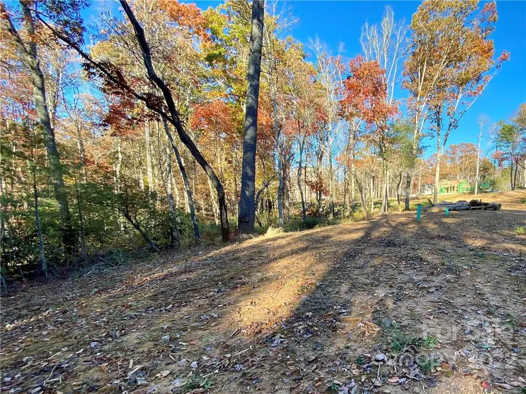 Fairview, NC 28730,Lot 9 Ted Linn DR