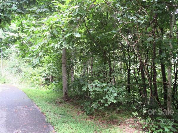 Waynesville, NC 28786,Lot 23 Village LN #23