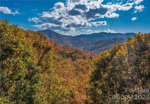 51 Wild Turkey LOOP #32, Marshall, NC 28753