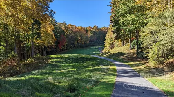 Sapphire, NC 28774,L15 Boiling Springs RD #L 15 C- R