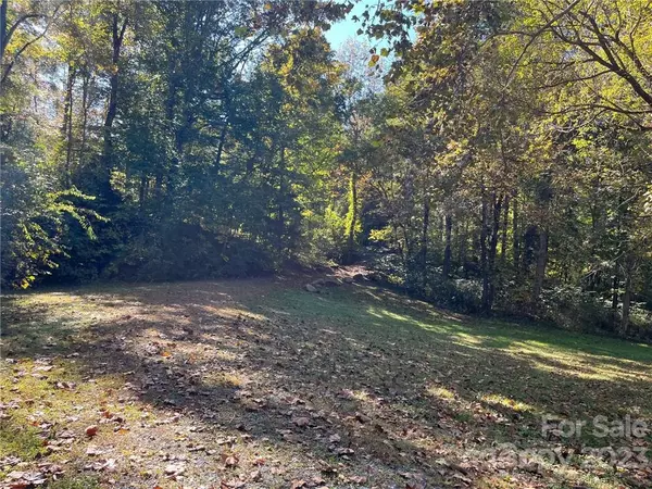 Tryon, NC 28782,000 Rambling Creek RD #11