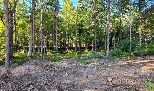 0 BELUE MILL RD, Landrum, SC 29356
