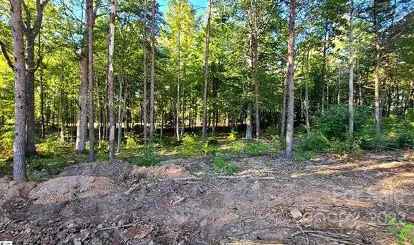 0 BELUE MILL RD, Landrum, SC 29356