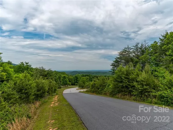 Mill Spring, NC 28756,LOT 163 Deep Gap Farm RD W