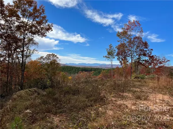 Marion, NC 28752,TBD Dobson DR #2