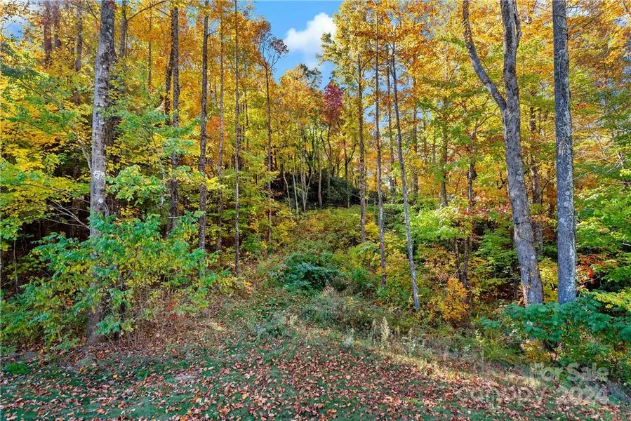 TBD Mountain Grove LN #40, Fletcher, NC 28732