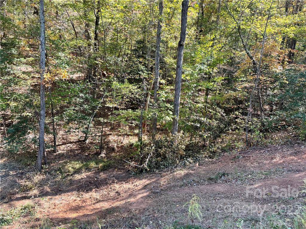 Troy, NC 27371,257 Basswood RD #LOT 490