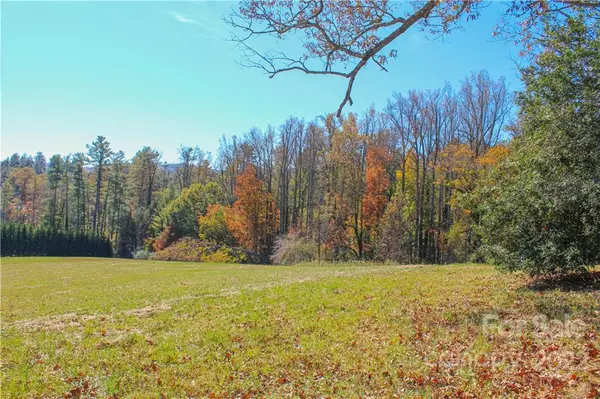 Hendersonville, NC 28739,183 A Virea DR #4