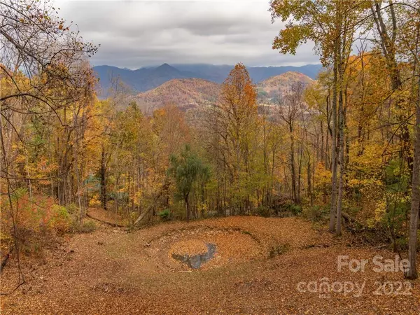 Waynesville, NC 28785,104 Lofty View DR