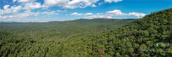 Rosman, NC 28772,11 Silver Maple TRL #11