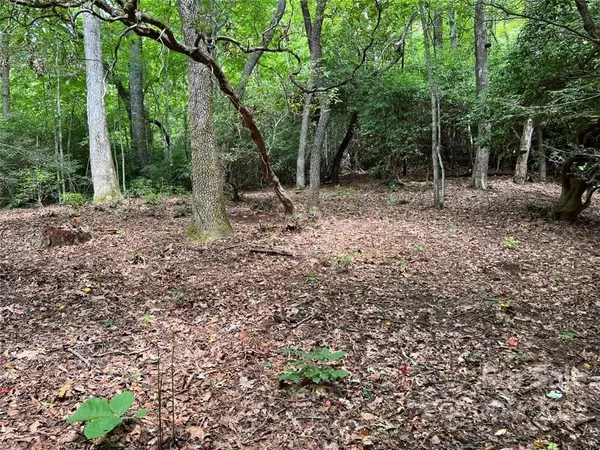 Hendersonville, NC 28792,0000 New Sprout LN #Lot 5