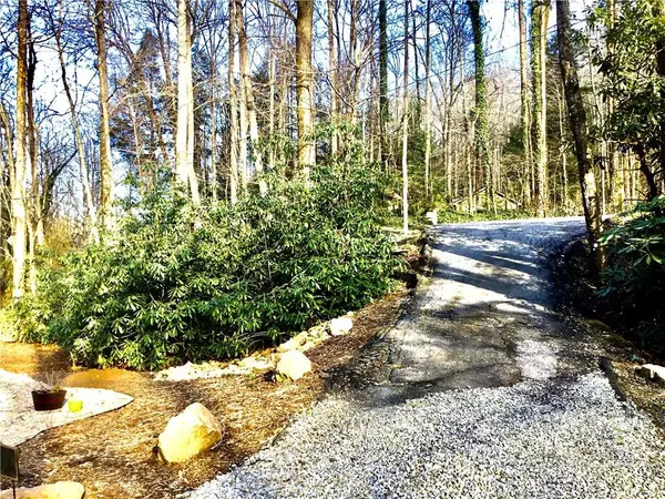 Saluda, NC 28773,2699 Pearson Falls RD #0
