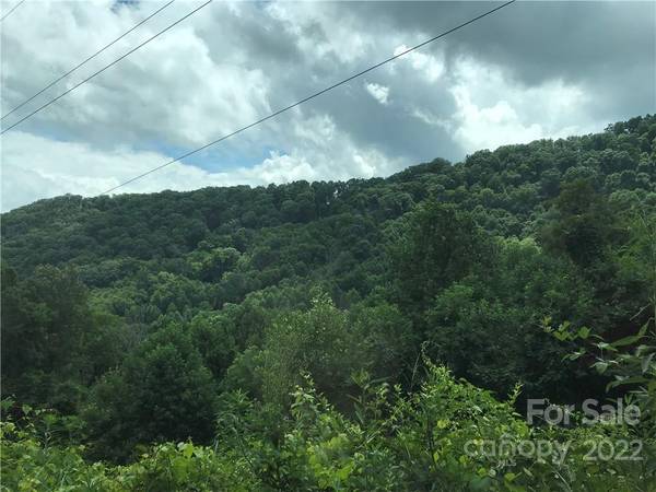 Waynesville, NC 28786,lot 24, 25 Spring Valley DR