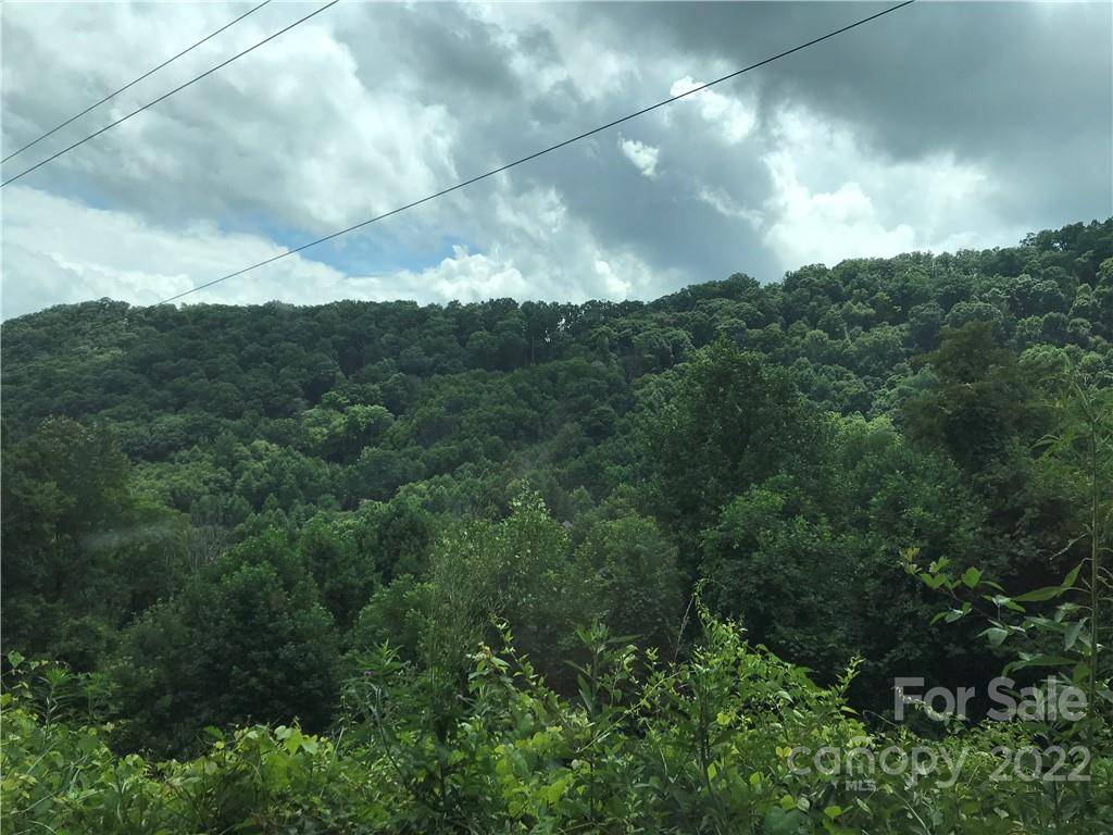 lot 24,  25 Spring Valley DR,  Waynesville,  NC 28786