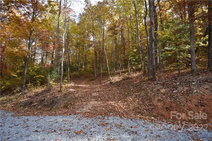 TBD Bradley Mountain LN #Lot 8, Hendersonville, NC 28792