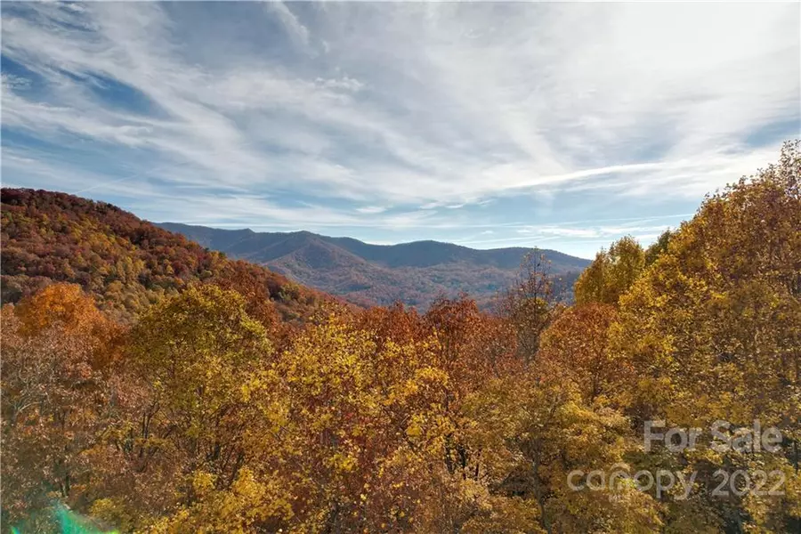 21 Wood Haven LN #112, Black Mountain, NC 28711