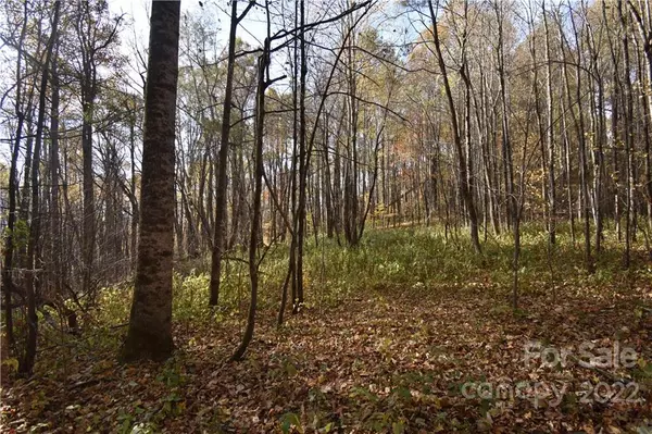 Sylva, NC 28779,Land Off Woodfin Creek RD
