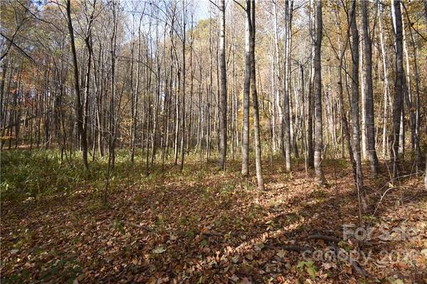 Land Off Woodfin Creek RD,  Sylva,  NC 28779